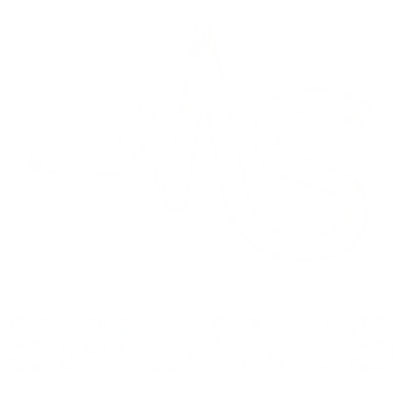 SPLMNTS